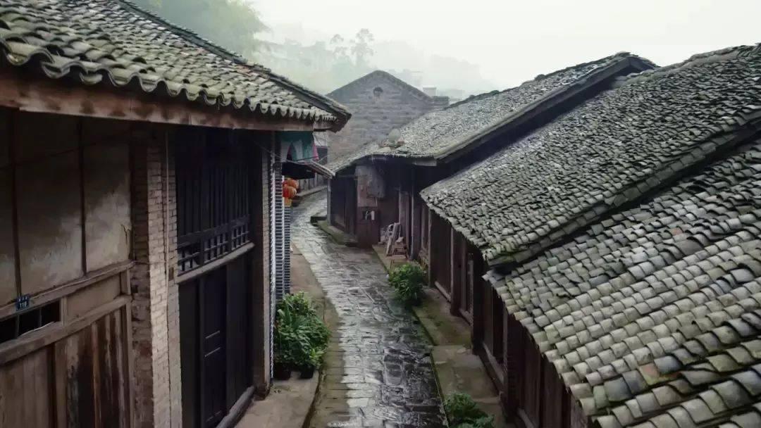犀牛森林大逃生